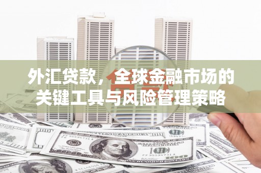 斗门外汇贷款，全球金融市场的关键工具与风险管理策略