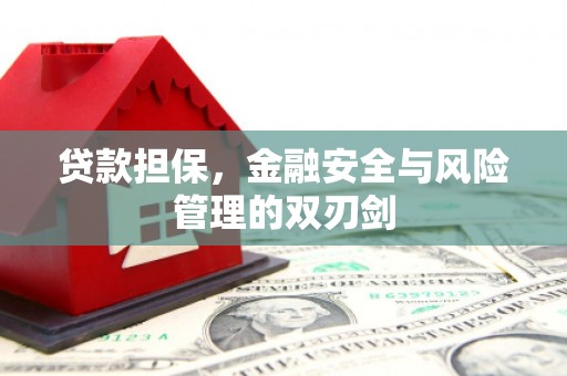 遂川贷款担保，金融安全与风险管理的双刃剑