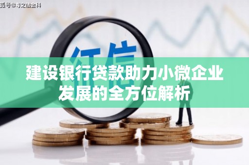 宝应建设银行贷款助力小微企业发展的全方位解析