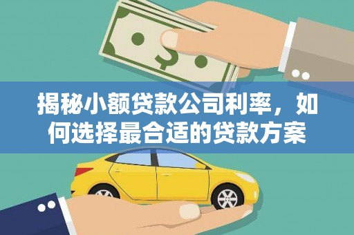 临翔揭秘小额贷款公司利率，如何选择最合适的贷款方案