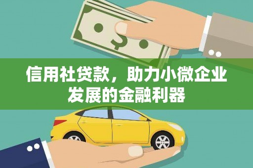 麻豆信用社贷款，助力小微企业发展的金融利器