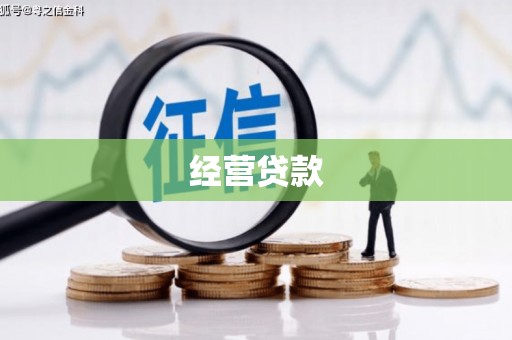 隰县经营贷款