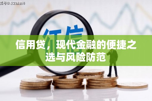 美浓信用贷，现代金融的便捷之选与风险防范