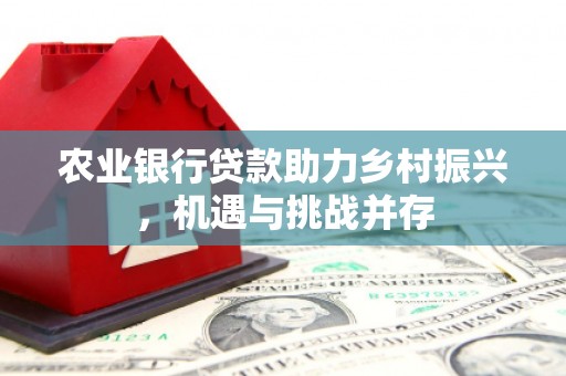通川农业银行贷款助力乡村振兴，机遇与挑战并存