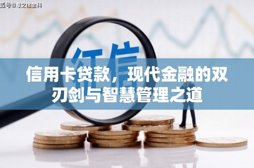 盘龙信用卡贷款，现代金融的双刃剑与智慧管理之道
