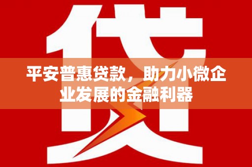 田尾平安普惠贷款，助力小微企业发展的金融利器