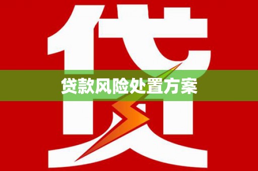 中埔贷款风险处置方案