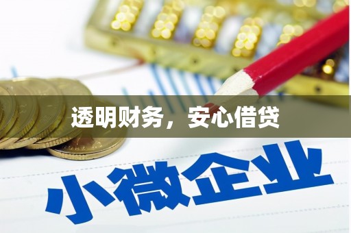 玉树透明财务，安心借贷