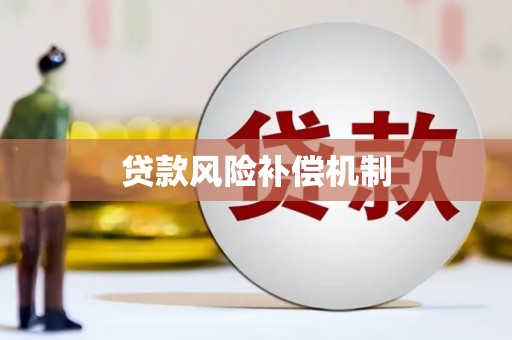 武冈贷款风险补偿机制