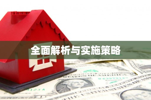 聂荣全面解析与实施策略