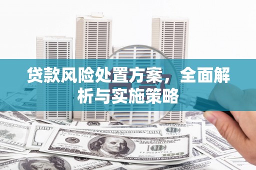 固镇贷款风险处置方案，全面解析与实施策略