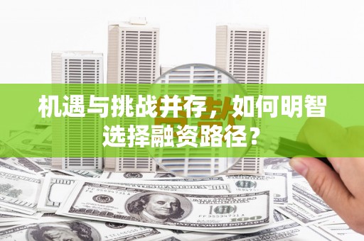 丰顺机遇与挑战并存，如何明智选择融资路径？