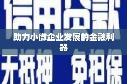 岑巩助力小微企业发展的金融利器