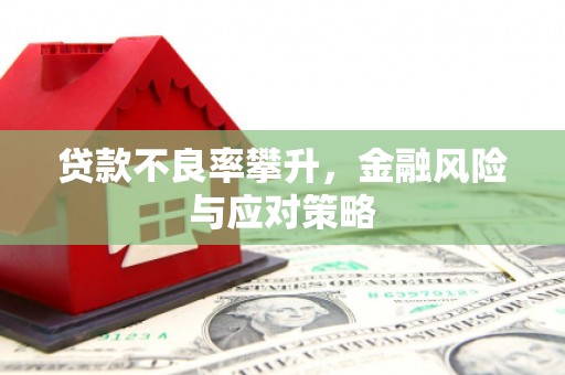 柳营贷款不良率攀升，金融风险与应对策略